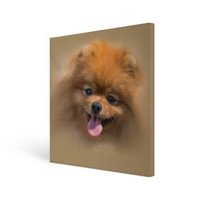 Холст квадратный с принтом Шпиц в Санкт-Петербурге, 100% ПВХ |  | Тематика изображения на принте: shpic | животные | мордочка | пёс | рыжий | собака | собачка | язык
