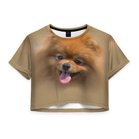 Женская футболка 3D укороченная с принтом Шпиц в Санкт-Петербурге, 100% полиэстер | круглая горловина, длина футболки до линии талии, рукава с отворотами | shpic | животные | мордочка | пёс | рыжий | собака | собачка | язык
