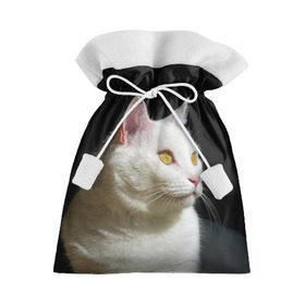 Подарочный 3D мешок с принтом Белая и пушистая в Санкт-Петербурге, 100% полиэстер | Размер: 29*39 см | Тематика изображения на принте: белый | взгляд | глаза | киска | кот | котёнок | кошка | пушистый