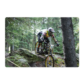 Магнитный плакат 3Х2 с принтом Велоспорт гонка в Санкт-Петербурге, Полимерный материал с магнитным слоем | 6 деталей размером 9*9 см | велик | велосипед | гонка | горы | деревья | железный конь | колесо | лес | лисапед | природа | ровер | спорт | спортсмен | стальной конь | тандем | трицикл | шлем