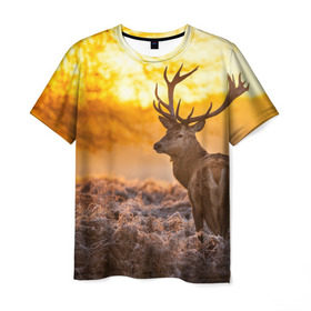 Мужская футболка 3D с принтом Олень в Санкт-Петербурге, 100% полиэфир | прямой крой, круглый вырез горловины, длина до линии бедер | бор | дубрава | ельник | животное | закат | косуля | лес | лось | млекопитающее | олень | природа | расвет | рогач | рока | тайга | чащоба