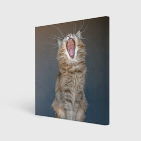 Холст квадратный с принтом Мартовский кот в Санкт-Петербурге, 100% ПВХ |  | кот | кошка | март | пасть | усы