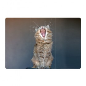 Магнитный плакат 3Х2 с принтом Мартовский кот в Санкт-Петербурге, Полимерный материал с магнитным слоем | 6 деталей размером 9*9 см | кот | кошка | март | пасть | усы