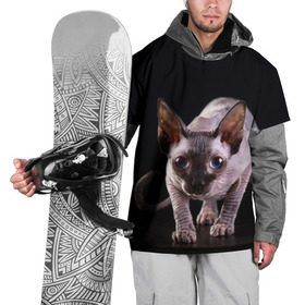 Накидка на куртку 3D с принтом сфинкс в Санкт-Петербурге, 100% полиэстер |  | Тематика изображения на принте: cat | голубые глаза | кот | котик | котэ | кошка | сфинкс | черный