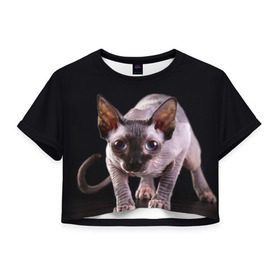 Женская футболка 3D укороченная с принтом сфинкс в Санкт-Петербурге, 100% полиэстер | круглая горловина, длина футболки до линии талии, рукава с отворотами | Тематика изображения на принте: cat | голубые глаза | кот | котик | котэ | кошка | сфинкс | черный