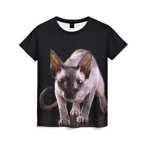 Женская футболка 3D с принтом сфинкс в Санкт-Петербурге, 100% полиэфир ( синтетическое хлопкоподобное полотно) | прямой крой, круглый вырез горловины, длина до линии бедер | cat | голубые глаза | кот | котик | котэ | кошка | сфинкс | черный