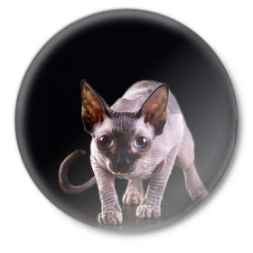 Значок с принтом сфинкс в Санкт-Петербурге,  металл | круглая форма, металлическая застежка в виде булавки | Тематика изображения на принте: cat | голубые глаза | кот | котик | котэ | кошка | сфинкс | черный