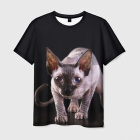 Мужская футболка 3D с принтом сфинкс в Санкт-Петербурге, 100% полиэфир | прямой крой, круглый вырез горловины, длина до линии бедер | cat | голубые глаза | кот | котик | котэ | кошка | сфинкс | черный