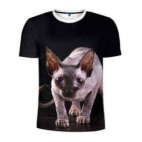 Мужская футболка 3D спортивная с принтом сфинкс в Санкт-Петербурге, 100% полиэстер с улучшенными характеристиками | приталенный силуэт, круглая горловина, широкие плечи, сужается к линии бедра | cat | голубые глаза | кот | котик | котэ | кошка | сфинкс | черный