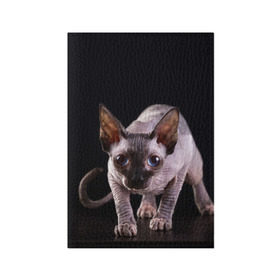 Обложка для паспорта матовая кожа с принтом сфинкс в Санкт-Петербурге, натуральная матовая кожа | размер 19,3 х 13,7 см; прозрачные пластиковые крепления | cat | голубые глаза | кот | котик | котэ | кошка | сфинкс | черный