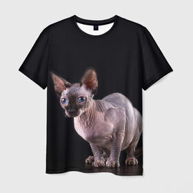Мужская футболка 3D с принтом сфинкс в Санкт-Петербурге, 100% полиэфир | прямой крой, круглый вырез горловины, длина до линии бедер | взгляд | голубые глаза | киска | кот | котенок | котик | котэ | серый | сфинкс | черный