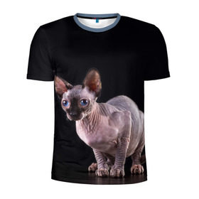 Мужская футболка 3D спортивная с принтом сфинкс в Санкт-Петербурге, 100% полиэстер с улучшенными характеристиками | приталенный силуэт, круглая горловина, широкие плечи, сужается к линии бедра | Тематика изображения на принте: взгляд | голубые глаза | киска | кот | котенок | котик | котэ | серый | сфинкс | черный