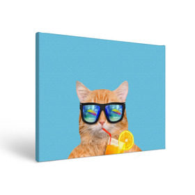 Холст прямоугольный с принтом котэ на отдыхе в Санкт-Петербурге, 100% ПВХ |  | кот | котик | лето | море | отдых | очки | пальмы | пляж | рыжий кот | солнце