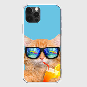 Чехол для iPhone 12 Pro Max с принтом котэ на отдыхе в Санкт-Петербурге, Силикон |  | Тематика изображения на принте: кот | котик | лето | море | отдых | очки | пальмы | пляж | рыжий кот | солнце