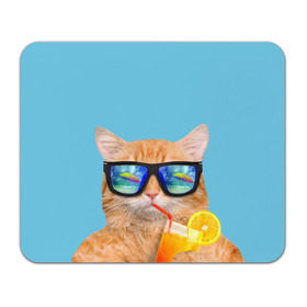 Коврик прямоугольный с принтом котэ на отдыхе в Санкт-Петербурге, натуральный каучук | размер 230 х 185 мм; запечатка лицевой стороны | Тематика изображения на принте: кот | котик | лето | море | отдых | очки | пальмы | пляж | рыжий кот | солнце
