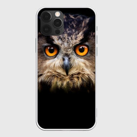Чехол для iPhone 12 Pro Max с принтом Хищный взор в Санкт-Петербурге, Силикон |  | Тематика изображения на принте: взгляд | глаза | клюв | пернатые | перья | птица | сова | филин | хищник