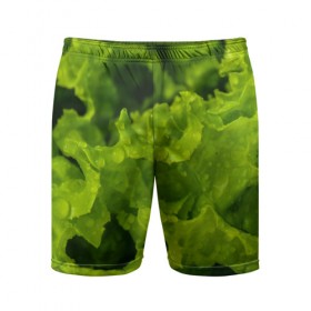 Мужские шорты 3D спортивные с принтом Зелень в Санкт-Петербурге,  |  | веган | зеленый | зелень | лето | овощи | салат | солнце | фрукты
