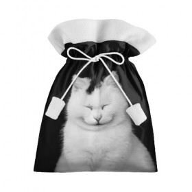 Подарочный 3D мешок с принтом Smile в Санкт-Петербурге, 100% полиэстер | Размер: 29*39 см | cat | kitty | животные | киса | кот | котенок | котэ | кошка