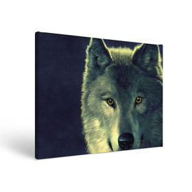 Холст прямоугольный с принтом Серый волк в Санкт-Петербурге, 100% ПВХ |  | Тематика изображения на принте: аука | бирюк | волк | волчара | волчица | волчок | глаза | животное | животные | зверь | зеленые | койот | млекопитающее | нос | санитар леса | серый | уши | фауна | фон | хищник | черный | шакал | шерсть