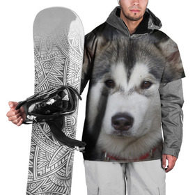 Накидка на куртку 3D с принтом Хаски в Санкт-Петербурге, 100% полиэстер |  | волк | маламут | собака | хаски | щенок