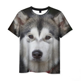 Мужская футболка 3D с принтом Хаски в Санкт-Петербурге, 100% полиэфир | прямой крой, круглый вырез горловины, длина до линии бедер | волк | маламут | собака | хаски | щенок