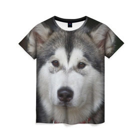 Женская футболка 3D с принтом Хаски в Санкт-Петербурге, 100% полиэфир ( синтетическое хлопкоподобное полотно) | прямой крой, круглый вырез горловины, длина до линии бедер | волк | маламут | собака | хаски | щенок