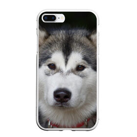 Чехол для iPhone 7Plus/8 Plus матовый с принтом Хаски в Санкт-Петербурге, Силикон | Область печати: задняя сторона чехла, без боковых панелей | волк | маламут | собака | хаски | щенок