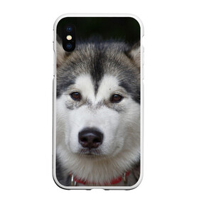 Чехол для iPhone XS Max матовый с принтом Хаски в Санкт-Петербурге, Силикон | Область печати: задняя сторона чехла, без боковых панелей | волк | маламут | собака | хаски | щенок