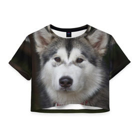 Женская футболка 3D укороченная с принтом Хаски в Санкт-Петербурге, 100% полиэстер | круглая горловина, длина футболки до линии талии, рукава с отворотами | Тематика изображения на принте: волк | маламут | собака | хаски | щенок