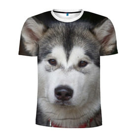 Мужская футболка 3D спортивная с принтом Хаски в Санкт-Петербурге, 100% полиэстер с улучшенными характеристиками | приталенный силуэт, круглая горловина, широкие плечи, сужается к линии бедра | Тематика изображения на принте: волк | маламут | собака | хаски | щенок