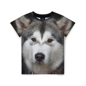 Детская футболка 3D с принтом Хаски в Санкт-Петербурге, 100% гипоаллергенный полиэфир | прямой крой, круглый вырез горловины, длина до линии бедер, чуть спущенное плечо, ткань немного тянется | волк | маламут | собака | хаски | щенок