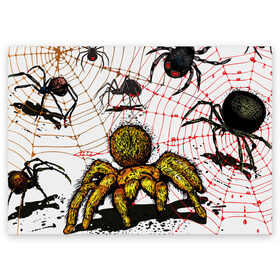 Поздравительная открытка с принтом Тарантул в Санкт-Петербурге, 100% бумага | плотность бумаги 280 г/м2, матовая, на обратной стороне линовка и место для марки
 | Тематика изображения на принте: spider | паук | паутина | тарантул