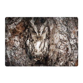 Магнитный плакат 3Х2 с принтом Камуфляж сова в Санкт-Петербурге, Полимерный материал с магнитным слоем | 6 деталей размером 9*9 см | дерево | пернатая | птица | филин