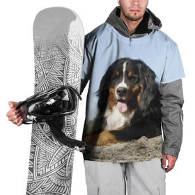 Накидка на куртку 3D с принтом Бернский зенненхунд в Санкт-Петербурге, 100% полиэстер |  | голубое небо | друг человека | животное | красивая | милая | овчарка | пес | породистая собака | породы | прикольная | природа | рыжий | черный | щенок