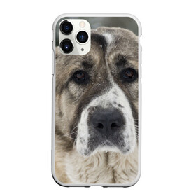 Чехол для iPhone 11 Pro матовый с принтом САО (алабай) в Санкт-Петербурге, Силикон |  | Тематика изображения на принте: большая огромная | грозная | добрая | друг человека | животное | красивая | милая | пес | породистая собака | породы | прикольная | сао алабай | щенок