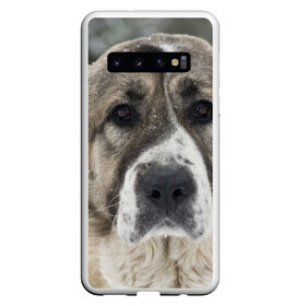 Чехол для Samsung Galaxy S10 с принтом САО (алабай) в Санкт-Петербурге, Силикон | Область печати: задняя сторона чехла, без боковых панелей | Тематика изображения на принте: большая огромная | грозная | добрая | друг человека | животное | красивая | милая | пес | породистая собака | породы | прикольная | сао алабай | щенок