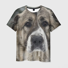 Мужская футболка 3D с принтом САО (алабай) в Санкт-Петербурге, 100% полиэфир | прямой крой, круглый вырез горловины, длина до линии бедер | большая огромная | грозная | добрая | друг человека | животное | красивая | милая | пес | породистая собака | породы | прикольная | сао алабай | щенок