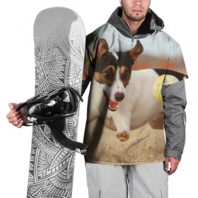 Накидка на куртку 3D с принтом Счастье в Санкт-Петербурге, 100% полиэстер |  | друг человека | животное | игра | красивая | ловит | маленький | милая | мяч | на природе | пес | породистая собака | породы | прикольная | счастливый | щенок