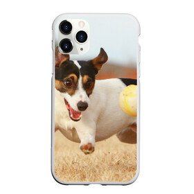 Чехол для iPhone 11 Pro Max матовый с принтом Счастье в Санкт-Петербурге, Силикон |  | Тематика изображения на принте: друг человека | животное | игра | красивая | ловит | маленький | милая | мяч | на природе | пес | породистая собака | породы | прикольная | счастливый | щенок