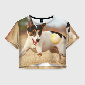 Женская футболка 3D укороченная с принтом Счастье в Санкт-Петербурге, 100% полиэстер | круглая горловина, длина футболки до линии талии, рукава с отворотами | друг человека | животное | игра | красивая | ловит | маленький | милая | мяч | на природе | пес | породистая собака | породы | прикольная | счастливый | щенок