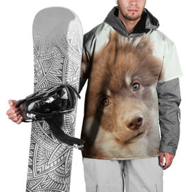 Накидка на куртку 3D с принтом Милый в Санкт-Петербурге, 100% полиэстер |  | Тематика изображения на принте: друг человека | животное | красивая | маленький | милая | милый взгляд | пес | песик | породистая собака | породы | прикольная | рыжий | щенок