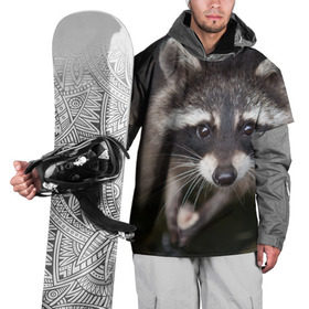 Накидка на куртку 3D с принтом Енот попрошайка в Санкт-Петербурге, 100% полиэстер |  | барсук | добрый | енот | животное | зверек | зверь | красивый | крошка | милое | милый | полоски серые | полоскун | прикольный | природа | скунс | усатый | фауна | флора | хищник | черный | шерсть