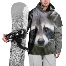 Накидка на куртку 3D с принтом Озадаченный енот в Санкт-Петербурге, 100% полиэстер |  | добрый | енот | животное | зверек | зверь | красивый | милое | милый | полоски серые | полоскун | прикольный | природа | усатый | фауна | флора | хищник | черный | шерсть