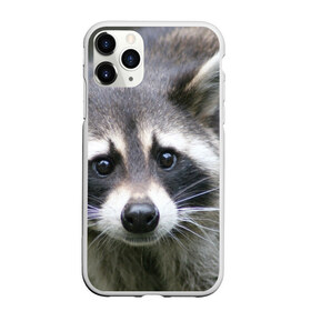 Чехол для iPhone 11 Pro матовый с принтом Озадаченный енот в Санкт-Петербурге, Силикон |  | добрый | енот | животное | зверек | зверь | красивый | милое | милый | полоски серые | полоскун | прикольный | природа | усатый | фауна | флора | хищник | черный | шерсть