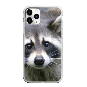 Чехол для iPhone 11 Pro Max матовый с принтом Озадаченный енот в Санкт-Петербурге, Силикон |  | добрый | енот | животное | зверек | зверь | красивый | милое | милый | полоски серые | полоскун | прикольный | природа | усатый | фауна | флора | хищник | черный | шерсть