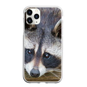 Чехол для iPhone 11 Pro матовый с принтом Енот в Санкт-Петербурге, Силикон |  | барсук | добрый | енот | животное | зверек | зверь | красивый | крошка | милое | милый | полоски серые | полоскун | прикольный | природа | скунс | усатый | фауна | флора | хищник | черный | шерсть