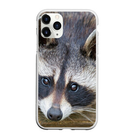 Чехол для iPhone 11 Pro Max матовый с принтом Енот в Санкт-Петербурге, Силикон |  | барсук | добрый | енот | животное | зверек | зверь | красивый | крошка | милое | милый | полоски серые | полоскун | прикольный | природа | скунс | усатый | фауна | флора | хищник | черный | шерсть