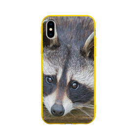 Чехол для Apple iPhone X силиконовый матовый с принтом Енот в Санкт-Петербурге, Силикон | Печать на задней стороне чехла, без боковой панели | барсук | добрый | енот | животное | зверек | зверь | красивый | крошка | милое | милый | полоски серые | полоскун | прикольный | природа | скунс | усатый | фауна | флора | хищник | черный | шерсть