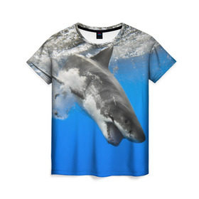Женская футболка 3D с принтом Акула в Санкт-Петербурге, 100% полиэфир ( синтетическое хлопкоподобное полотно) | прямой крой, круглый вырез горловины, длина до линии бедер | shark | море | синий | челюсти