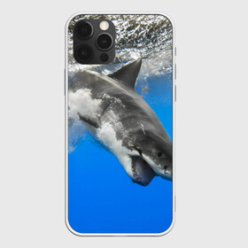 Чехол для iPhone 12 Pro Max с принтом Акула в Санкт-Петербурге, Силикон |  | shark | море | синий | челюсти